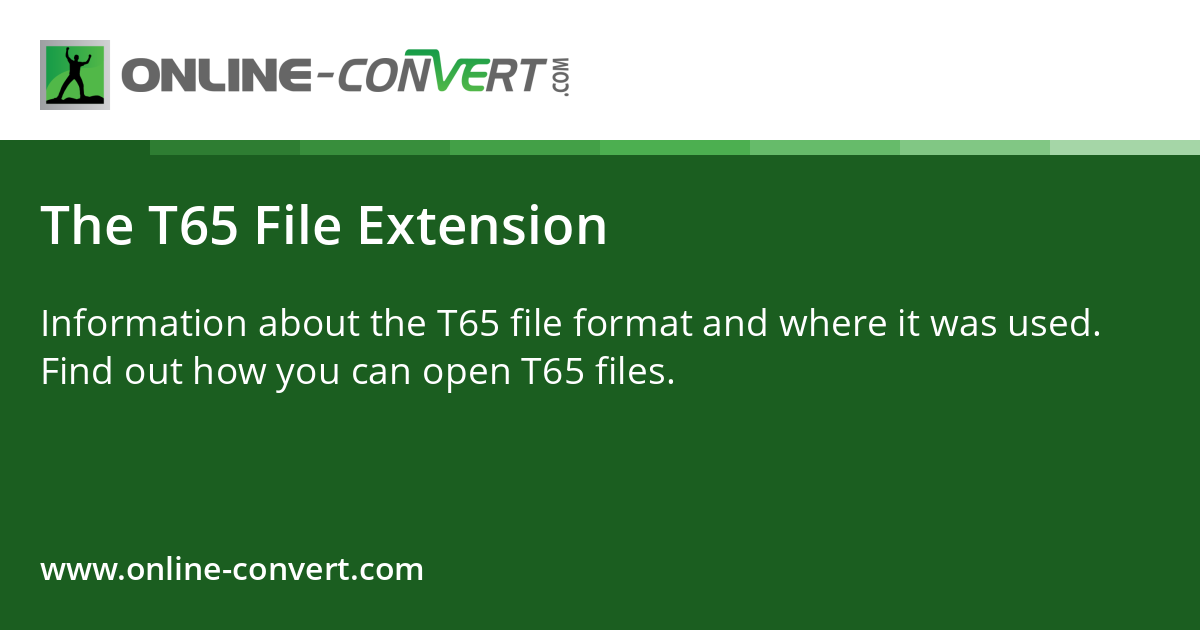 The T65 File Extension