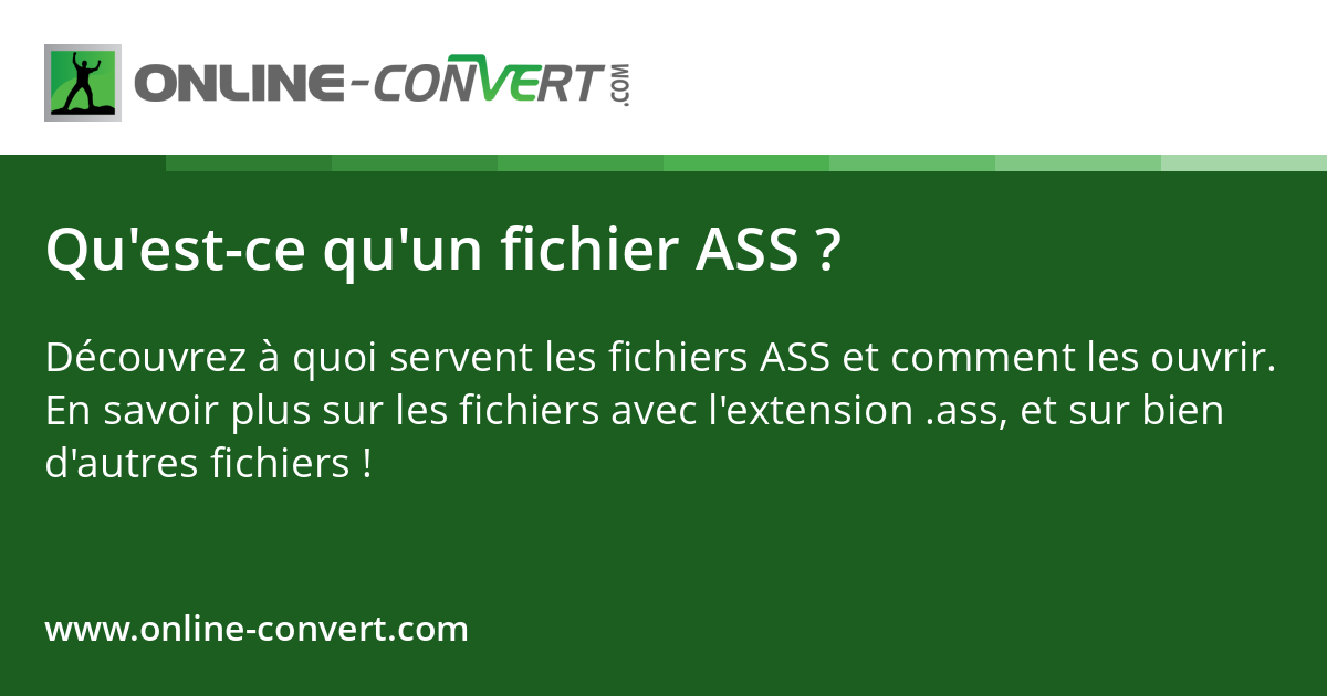 Qu'est-ce qu'un fichier ASS