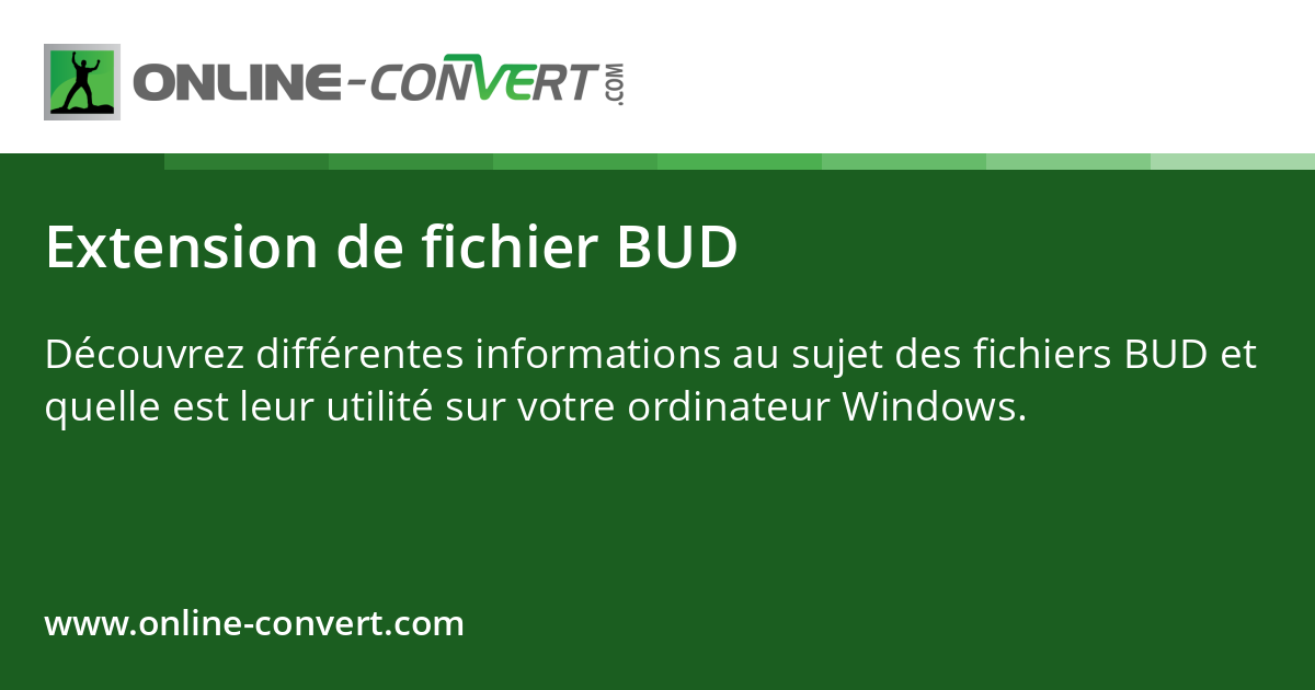 Extension de fichier BUD